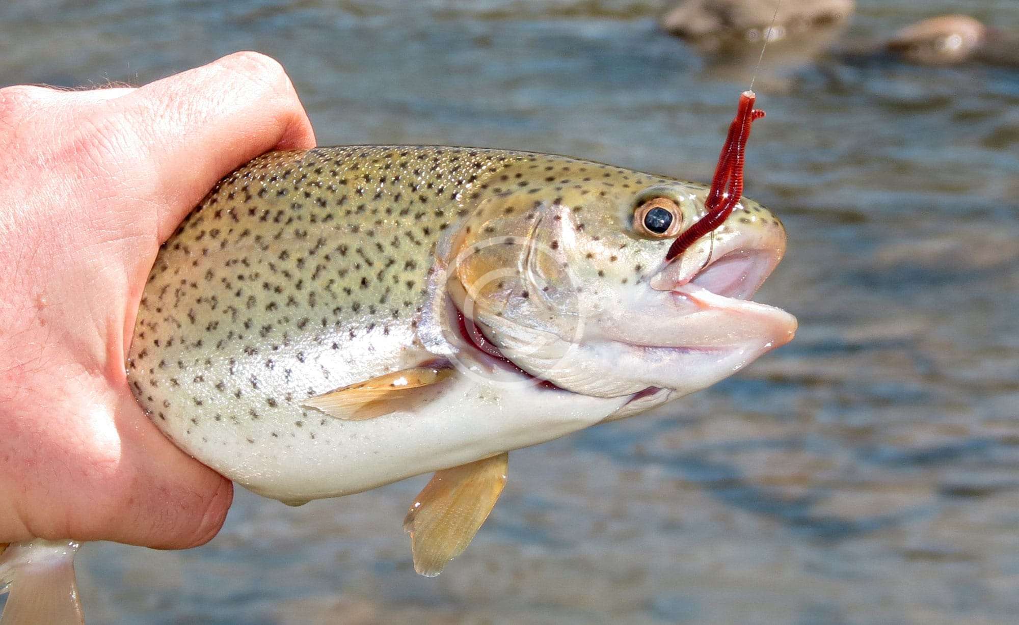 It’s simple. Just check our membership options